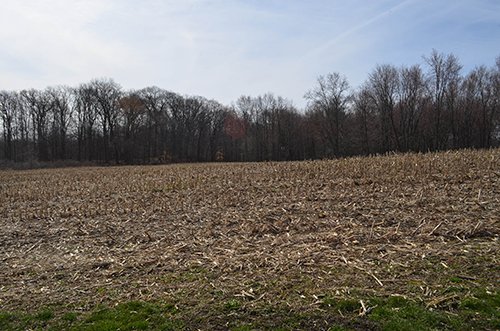 Property photo 96 - REAL ESTATE & PERSONAL PROPERTY AUCTION, 140 Acres offered in 8 Tracts or Combinations in Steuben County
